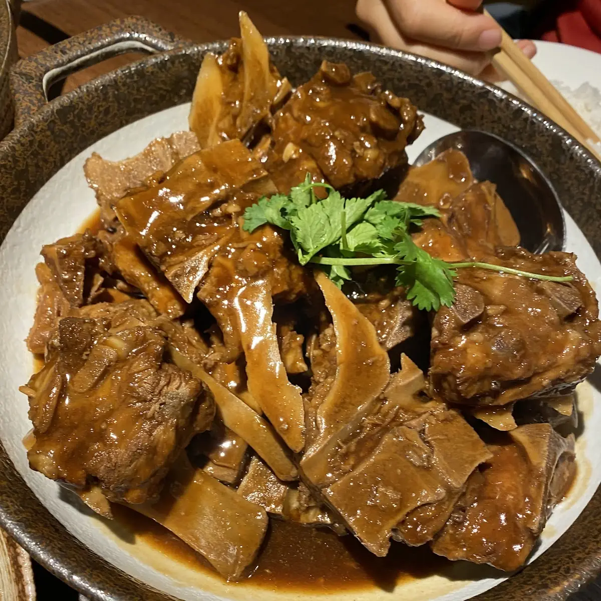 beef brisket & bean curd casserole e19 腐竹牛腩煲